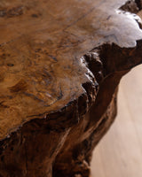 Monumental Natural Burl Root Bar, 1970's - Lone Fox