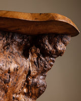 Monumental Natural Burl Root Bar, 1970's - Lone Fox