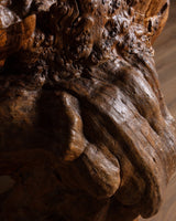 Monumental Natural Burl Root Bar, 1970's - Lone Fox