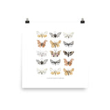 Moths Art Print - Lone Fox