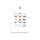 Moths Art Print - Lone Fox