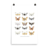 Moths Art Print - Lone Fox