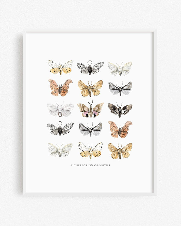 Moths Art Print - Lone Fox