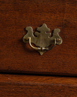 Northern European Arched Oak Secretary Cabinet, 19th Century - Lone Fox