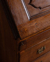 Northern European Arched Oak Secretary Cabinet, 19th Century - Lone Fox