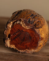 Organic Mesquite Wooden Burl Vase - Lone Fox