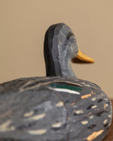 Painted Wooden Duck Decoy, Italy, 1960's - Lone Fox