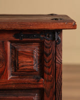 Pair of 19th Century Spanish Baroque Carved Pine Cabinets w/ Iron Fastenings, Spain - Lone Fox