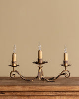 Pair of Tole Leaf Candelabra Table Lamps, France, 1900's - Lone Fox