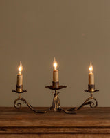 Pair of Tole Leaf Candelabra Table Lamps, France, 1900's - Lone Fox