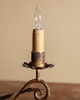 Pair of Tole Leaf Candelabra Table Lamps, France, 1900's - Lone Fox