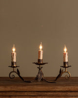 Pair of Tole Leaf Candelabra Table Lamps, France, 1900's - Lone Fox