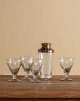 Pebbled Glass Cocktail Shaker - Lone Fox