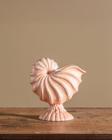 Pink Ceramic Shell Planter - Lone Fox