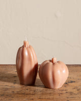 Pumpkin & Squash Candles - Lone Fox