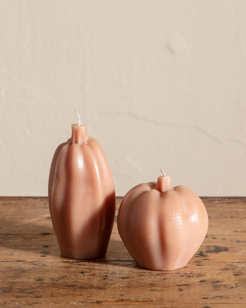 Pumpkin & Squash Candles - Lone Fox