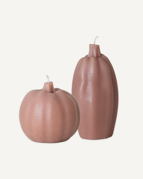 Pumpkin & Squash Candles - Lone Fox