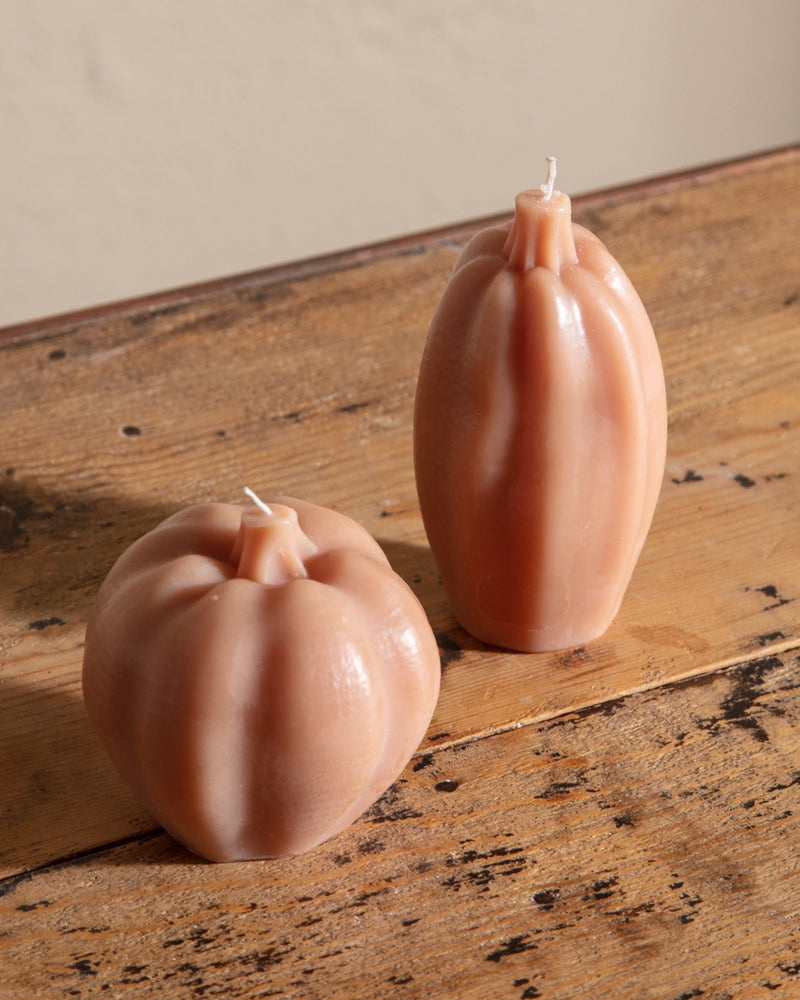 Pumpkin & Squash Candles - Lone Fox