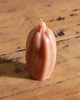 Pumpkin & Squash Candles - Lone Fox