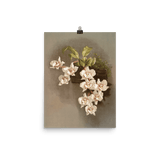 "Reichenbachia Orchids" Art Print - Lone Fox