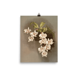 "Reichenbachia Orchids" Art Print - Lone Fox