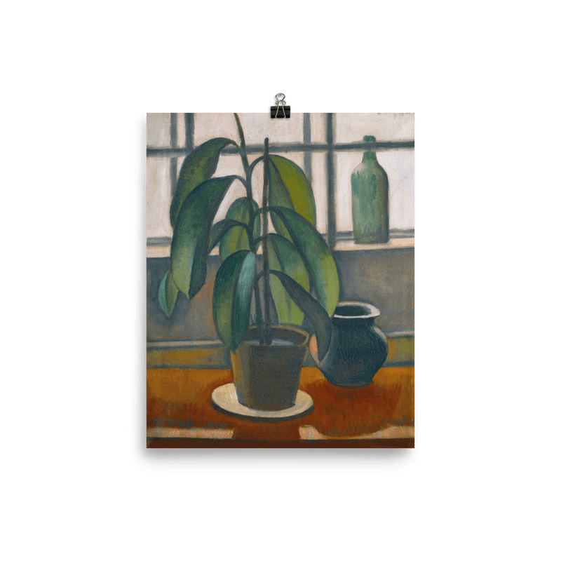 "Rubber Plant On A Window Ledge" Art Print - Lone Fox