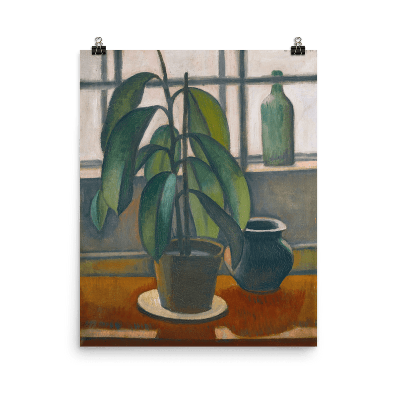 "Rubber Plant On A Window Ledge" Art Print - Lone Fox