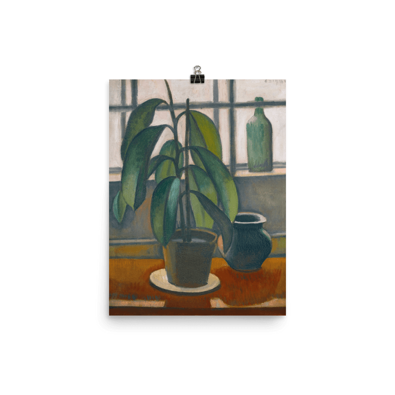 "Rubber Plant On A Window Ledge" Art Print - Lone Fox