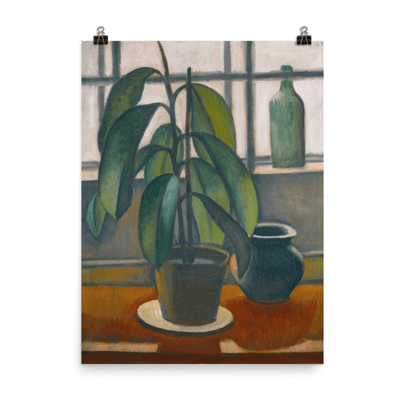 "Rubber Plant On A Window Ledge" Art Print - Lone Fox