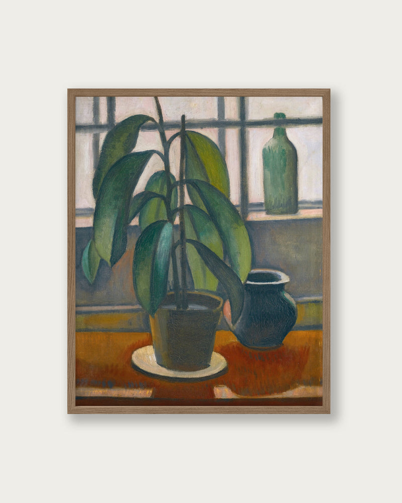 "Rubber Plant On A Window Ledge" Art Print - Lone Fox