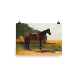 "Saddle Horse in Farm Yard" Art Print - Lone Fox