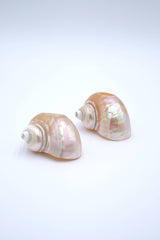 Seashell Napkin Ring - Lone Fox