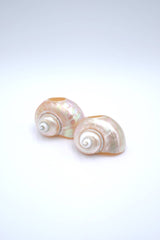 Seashell Napkin Ring - Lone Fox