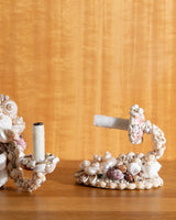 Seashells Sconces, Pair - Lone Fox