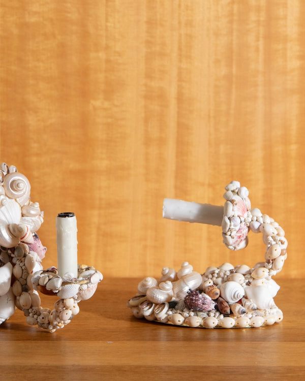 Seashells Sconces, Pair - Lone Fox