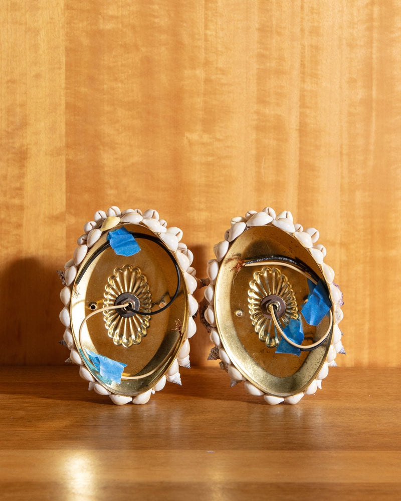 Seashells Sconces, Pair - Lone Fox