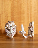 Seashells Sconces, Pair - Lone Fox