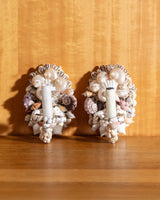 Seashells Sconces, Pair - Lone Fox