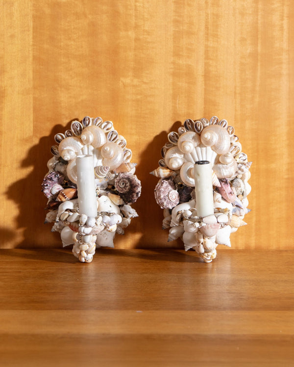 Seashells Sconces, Pair - Lone Fox
