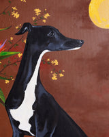 "Señor Pedro" Whippet Study, Mixed Media on Canvas, 2026 - Lone Fox