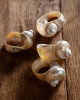 Set of 4 Seashell Napkin Rings - Lone Fox