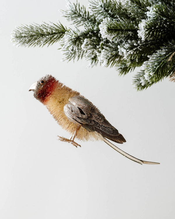 Sisal Parrot Ornament - Lone Fox