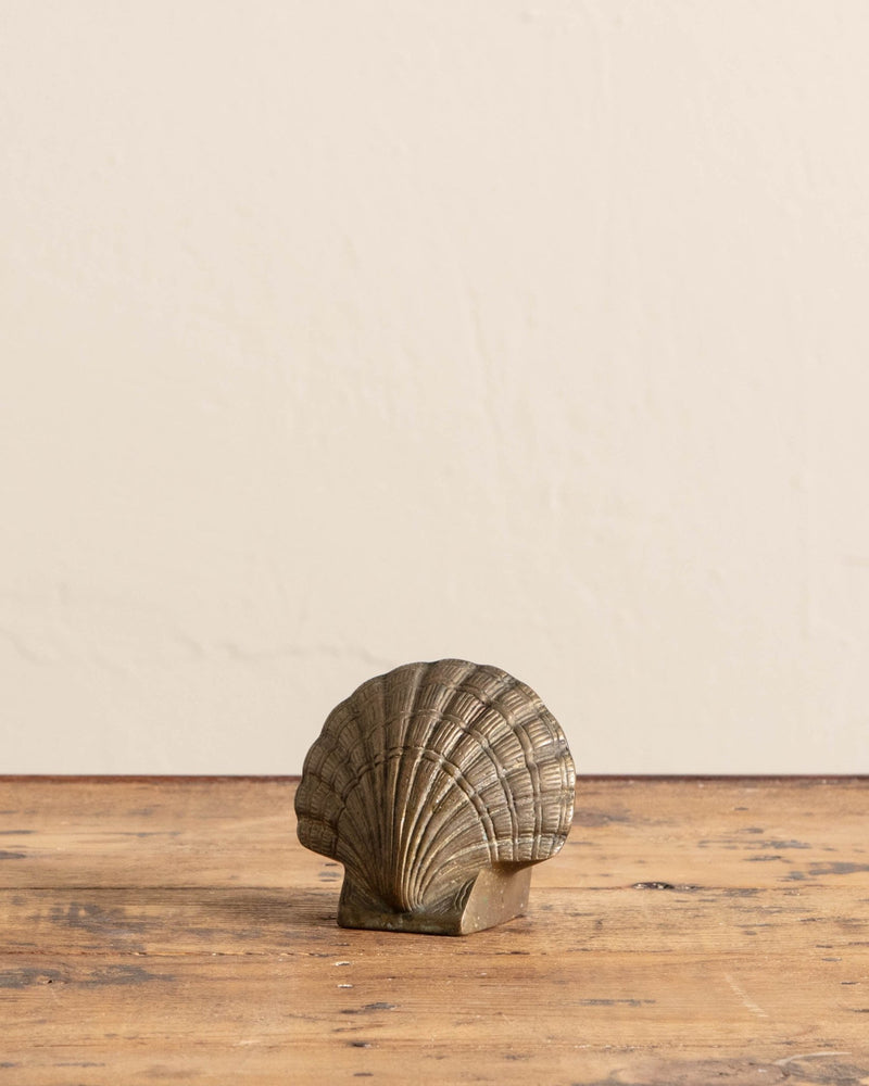 Solid Brass Sea Shell Sculpture - Lone Fox