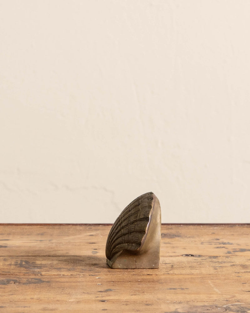 Solid Brass Sea Shell Sculpture - Lone Fox