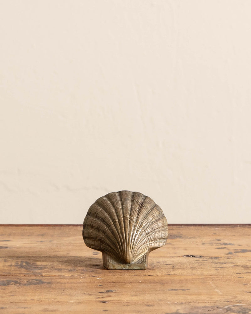 Solid Brass Sea Shell Sculpture - Lone Fox