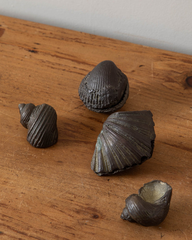 Solid Cast Bronze Seashell Art Objects (Set of 4) - Lone Fox