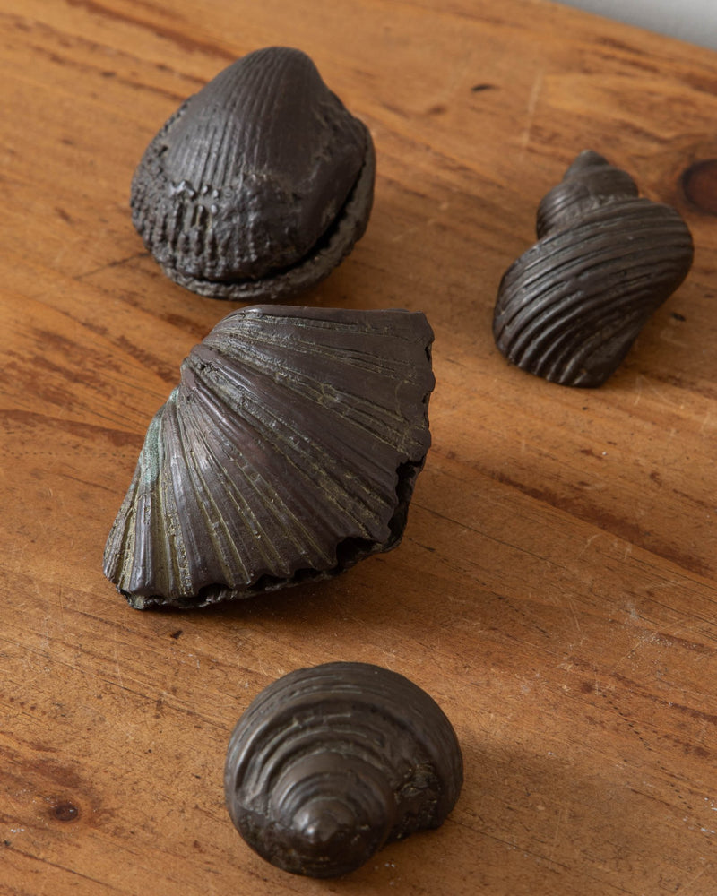 Solid Cast Bronze Seashell Art Objects (Set of 4) - Lone Fox