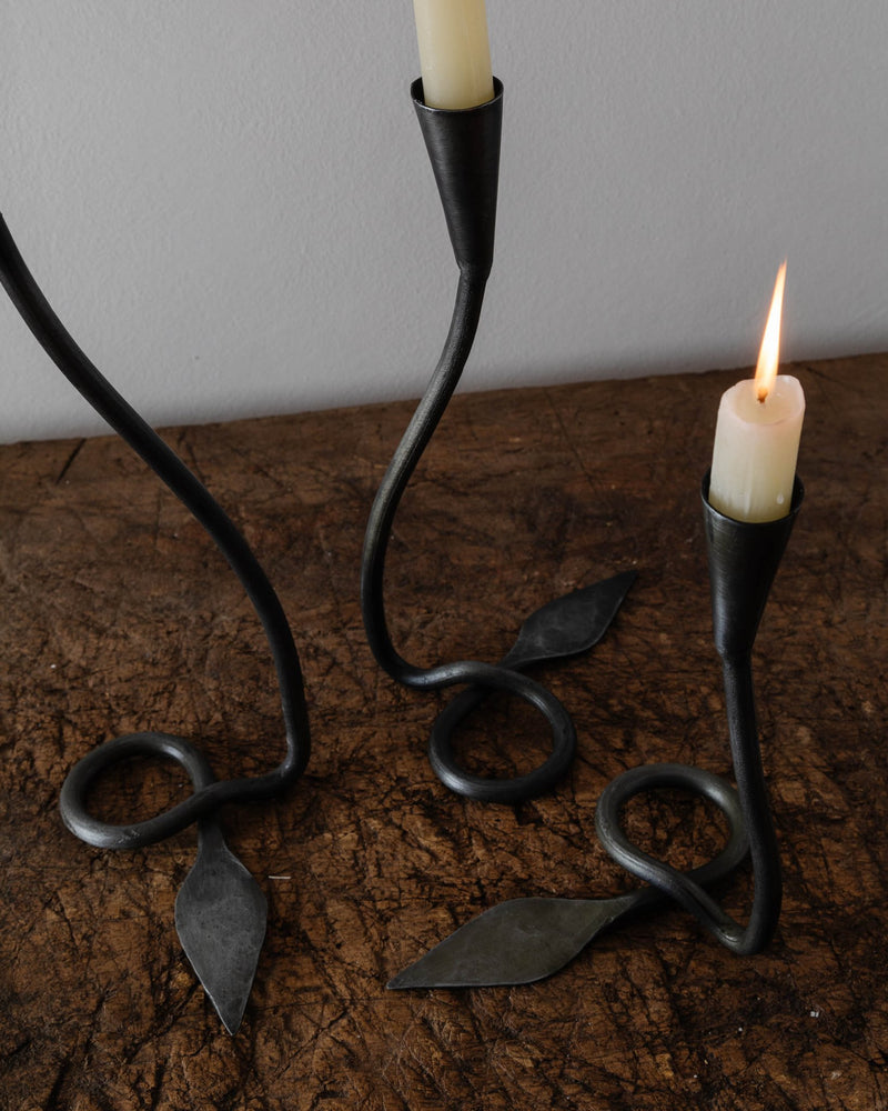 Steel Tulip Taper Candle Holders (Set of 3) - Lone Fox