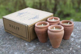 Terracotta Beeswax Candles (4) - Floral - Lone Fox