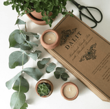 Terracotta Beeswax Tea Light Candles (10) - Lone Fox